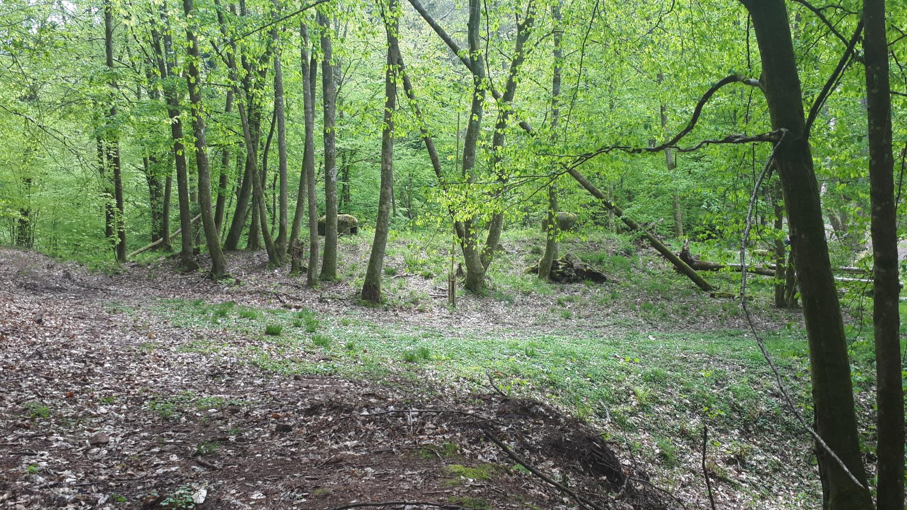 Ligne Maginot - TRAUTBACH OUEST - (Blockhaus pour arme infanterie) - Du coté ennemi seul les cloches GFM sont visibles - Gregory Fuchs