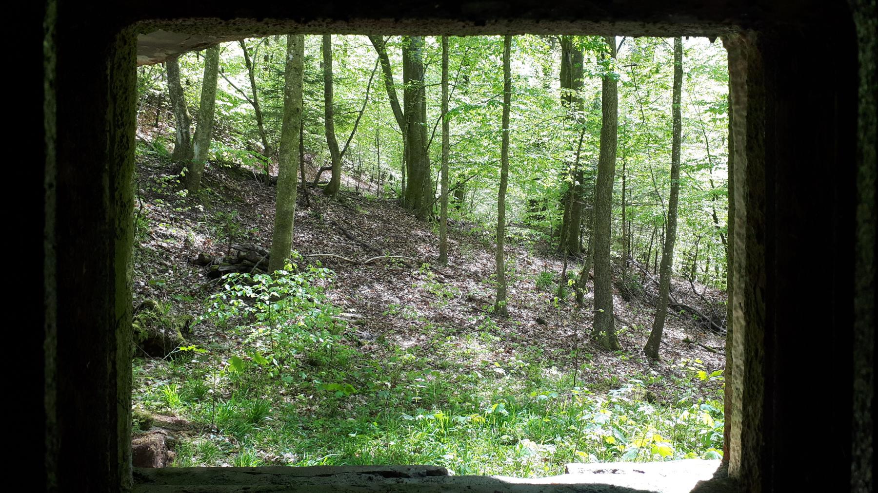 Ligne Maginot - TRAUTBACH OUEST - (Blockhaus pour arme infanterie) - Vue depuis le créneau Ouest - Gregory Fuchs