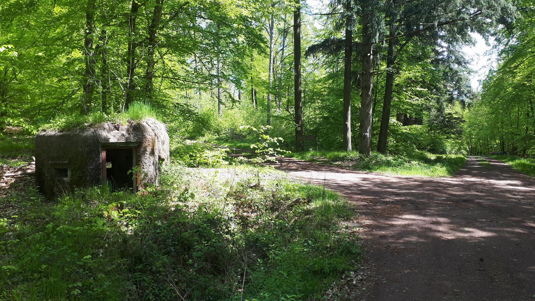 Ligne Maginot - FM48 - NONNENHARDT EST 5 - (Blockhaus pour arme infanterie) - Le blockhaus à un carrefour de chemins forestiers - Gregory Fuchs