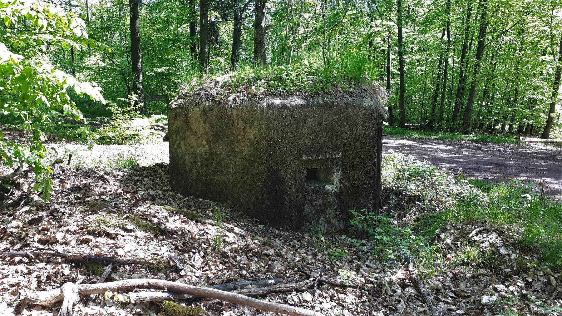 Ligne Maginot - FM48 - NONNENHARDT EST 5 - (Blockhaus pour arme infanterie) - Créneau arrière gauche - Gregory Fuchs