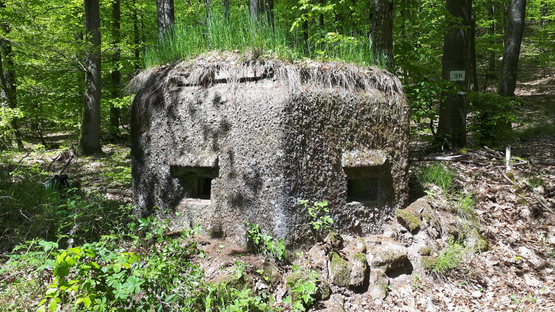 Ligne Maginot - FM48 - NONNENHARDT EST 5 - (Blockhaus pour arme infanterie) - Créneaux coté droit - Gregory Fuchs