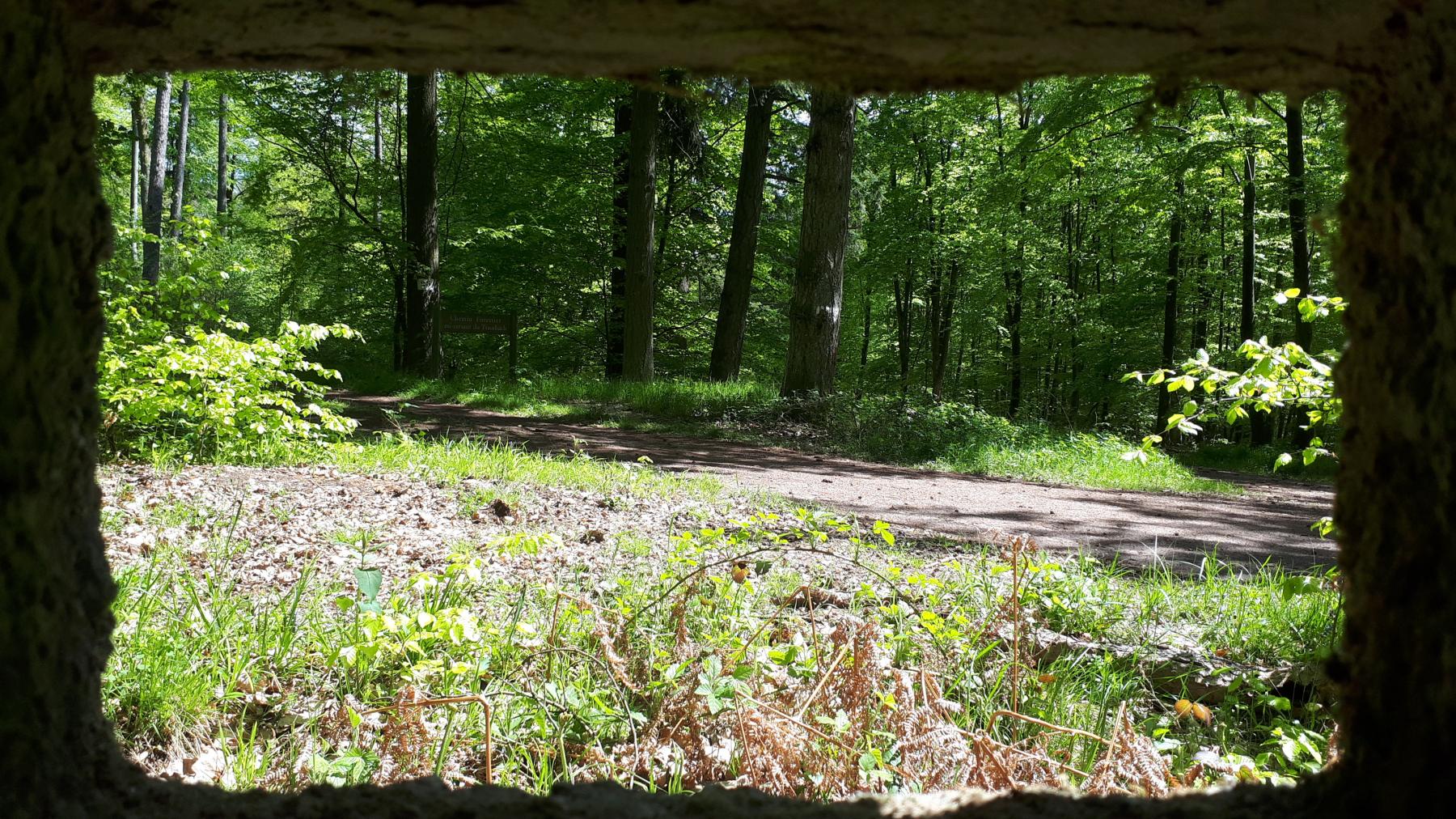 Ligne Maginot - FM48 - NONNENHARDT EST 5 - (Blockhaus pour arme infanterie) - Vue depuis le créneau droit - Gregory Fuchs