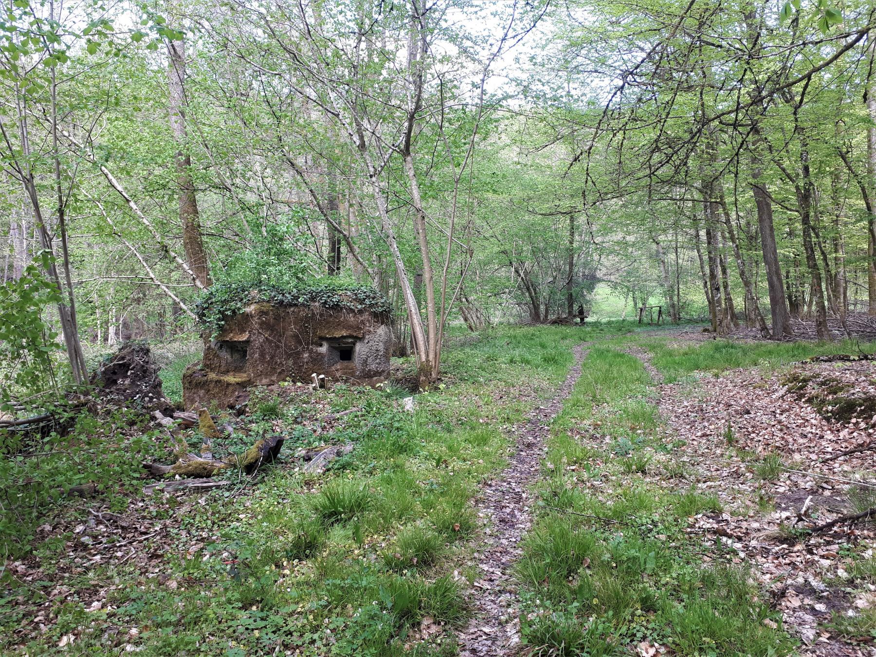 Ligne Maginot - FM27 - TRAUTBACH 3 - (Blockhaus pour arme infanterie) - Le blockhaus bordant le chemin du Trautbach - Gregory Fuchs