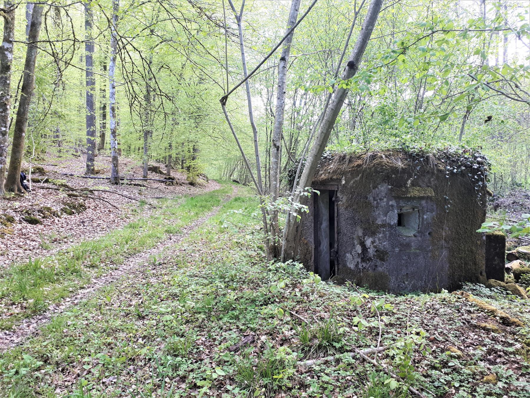 Ligne Maginot - FM27 - TRAUTBACH 3 - (Blockhaus pour arme infanterie) - Le blockhaus bordant le chemin du Trautbach - Gregory Fuchs