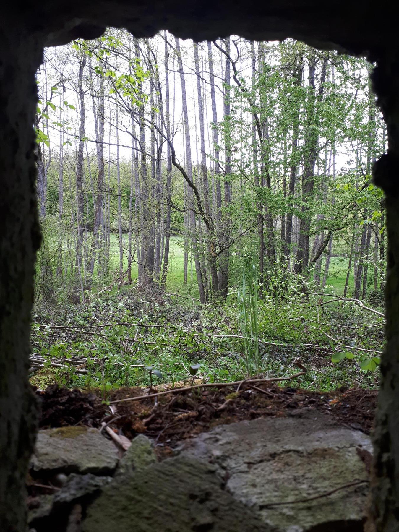 Ligne Maginot - FM27 - TRAUTBACH 3 - (Blockhaus pour arme infanterie) - Vue du créneau frontal, sur les vallons de Weibersloch et Wachholderfeld - Gregory Fuchs
