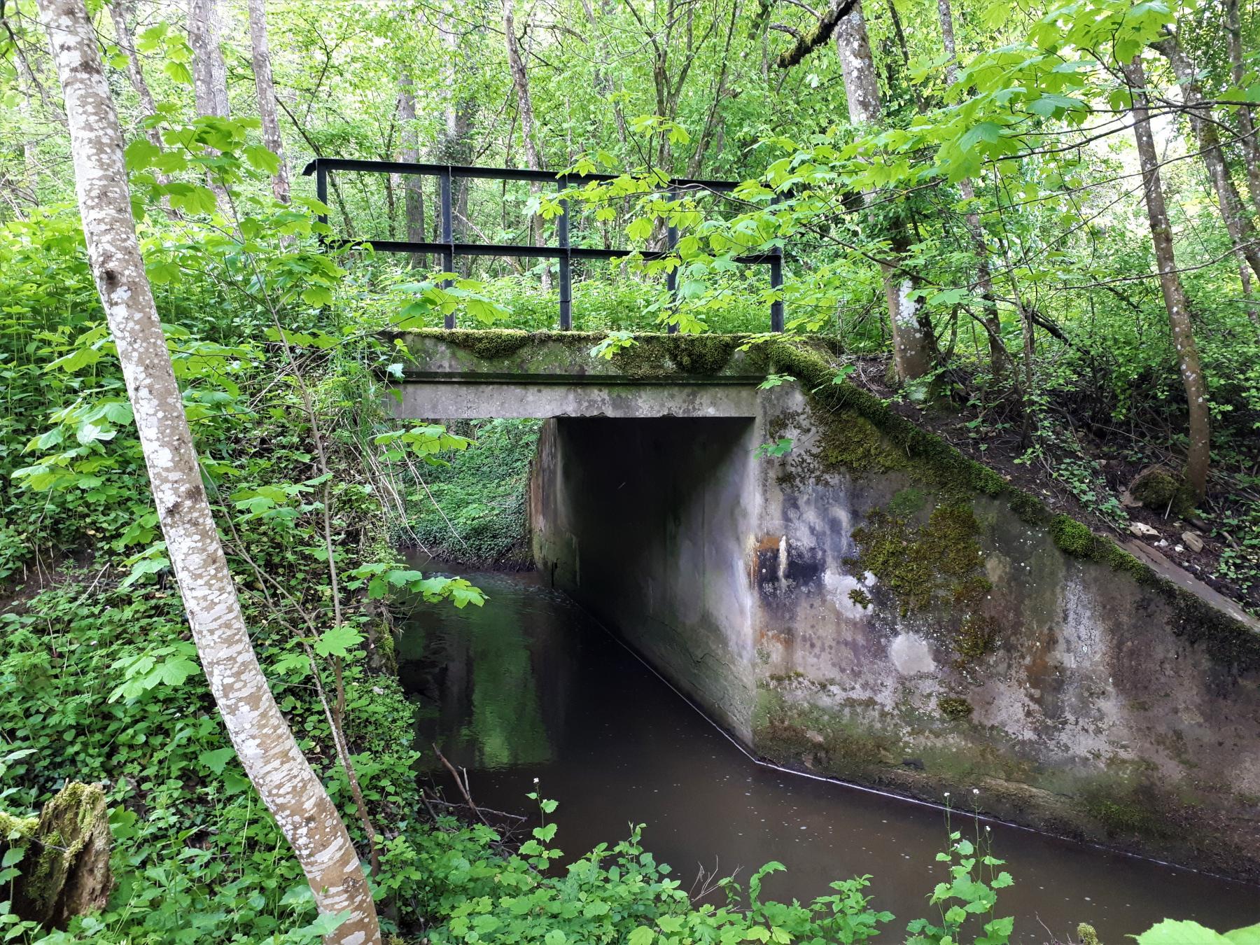 Ligne Maginot - VF60 - ANTENNE DE L'OUVRAGE DU FOUR-à-CHAUX - (RESEAU - Voie 60 - Antenne ou rocade ferroviaire) - 6 - PONT SUR LE SCHMELZBACH - Gregory Fuchs