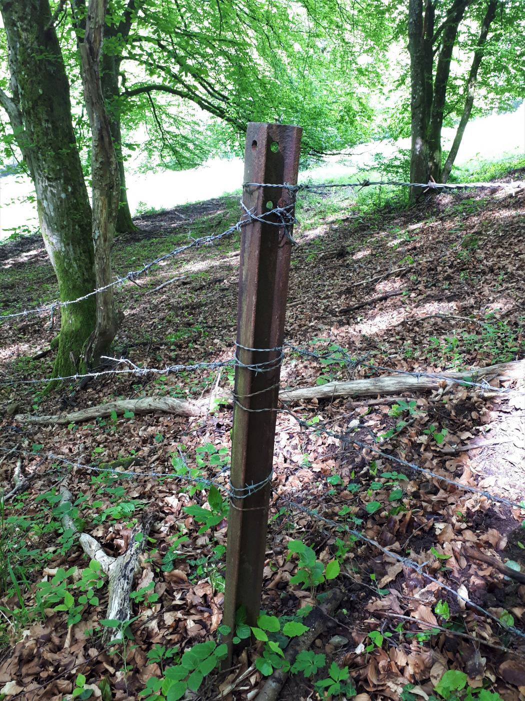 Ligne Maginot - VF60 - ANTENNE DE L'OUVRAGE DU FOUR-à-CHAUX - (RESEAU - Voie 60 - Antenne ou rocade ferroviaire) - 4 - EVITEMENT DU VERLORENERBACH
Rail de voie 60 servant de poteau à proximité de l'évitement - Gregory Fuchs