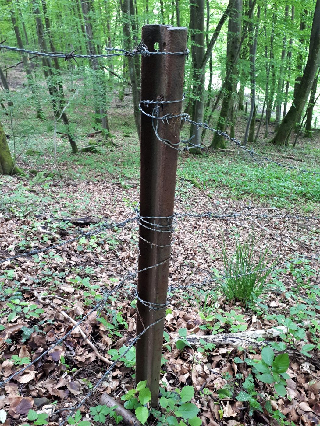 Ligne Maginot - VF60 - ANTENNE DE L'OUVRAGE DU FOUR-à-CHAUX - (RESEAU - Voie 60 - Antenne ou rocade ferroviaire) - 4 - EVITEMENT DU VERLORENERBACH
Rail de voie 60 servant de poteau à proximité de l'évitement - Gregory Fuchs