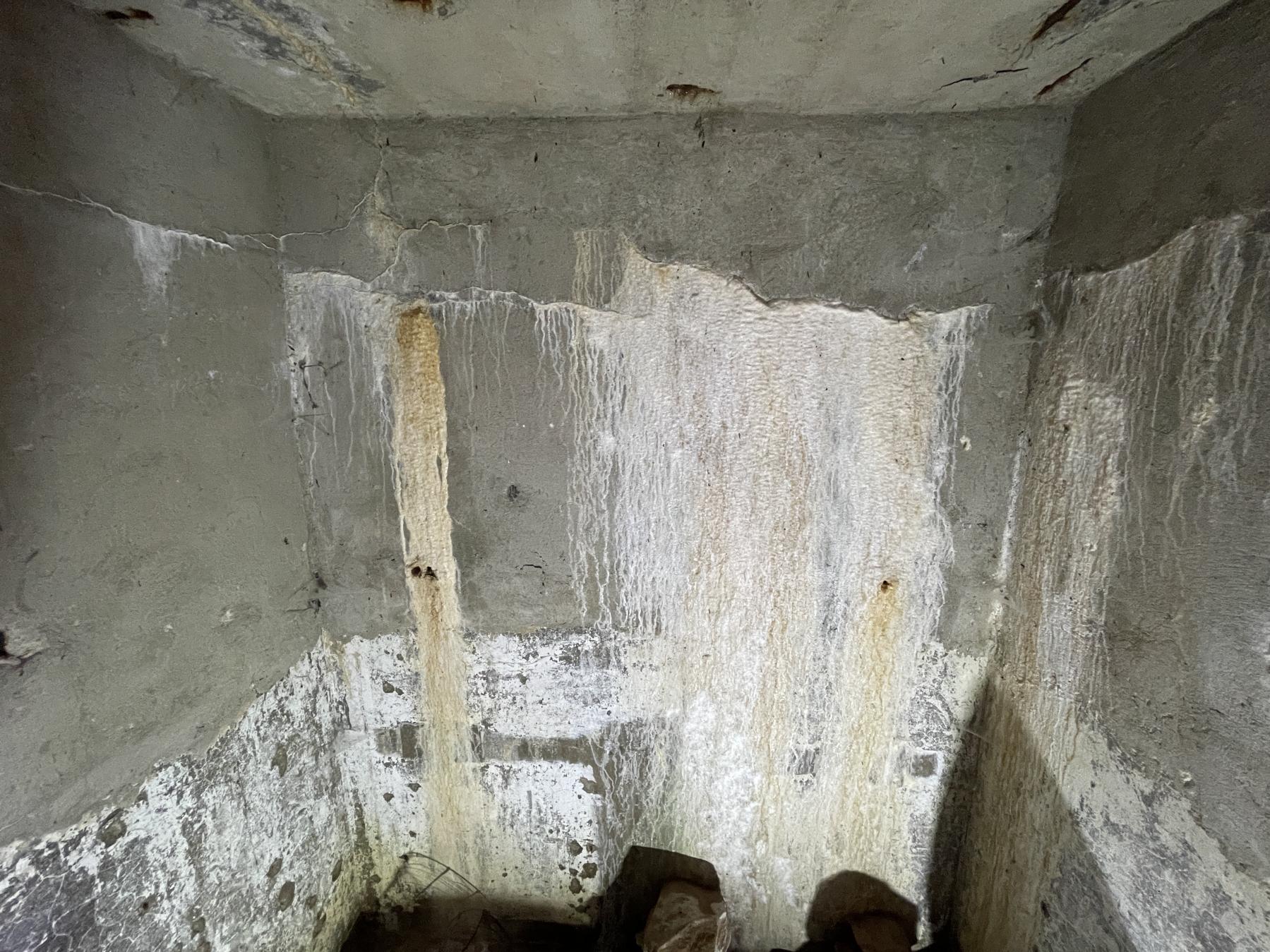 Ligne Maginot - UX1 - (Chambre de coupure) - Le local, vu depuis le bas de l'échelle (vide) - DK_Antoine4