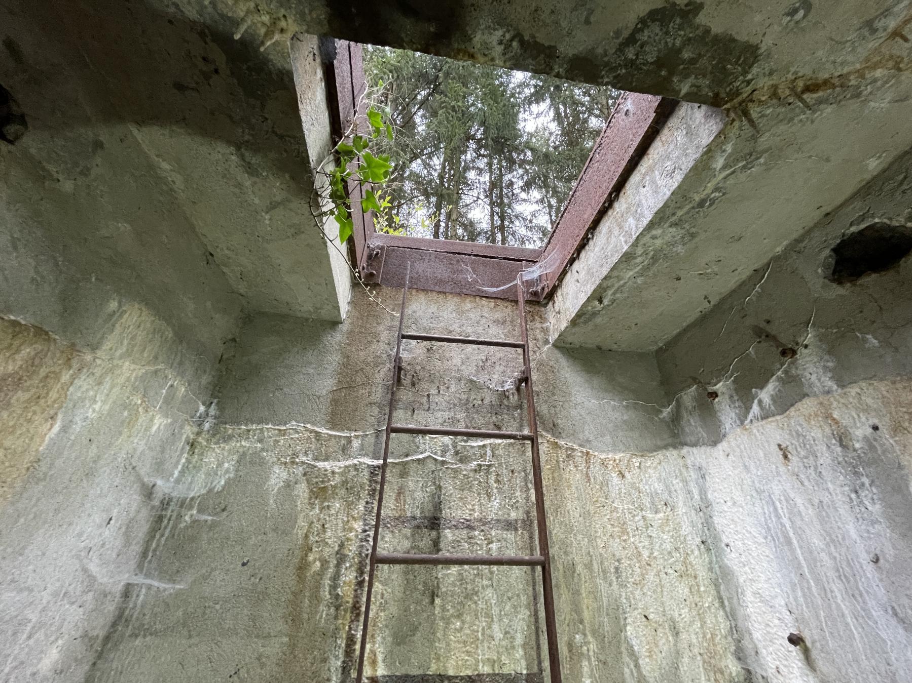 Ligne Maginot - UX1 - (Chambre de coupure) - L'échelle et le puits d'accès vu depuis le fond du local - DK_Antoine4