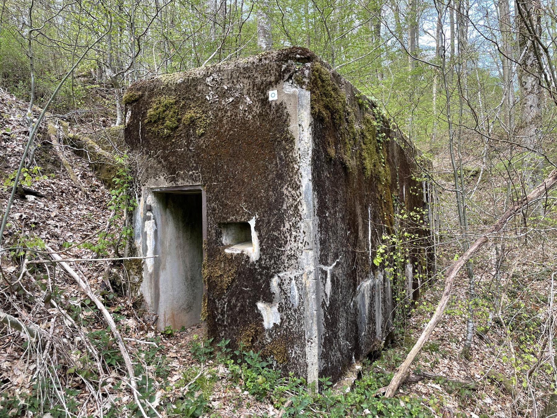 Ligne Maginot - HERRENWALD - ( III - 153° RIF ) - (PC de Quartier) - Le PC se fond dans la végétation durant la belle saison - DK_Antoine4
