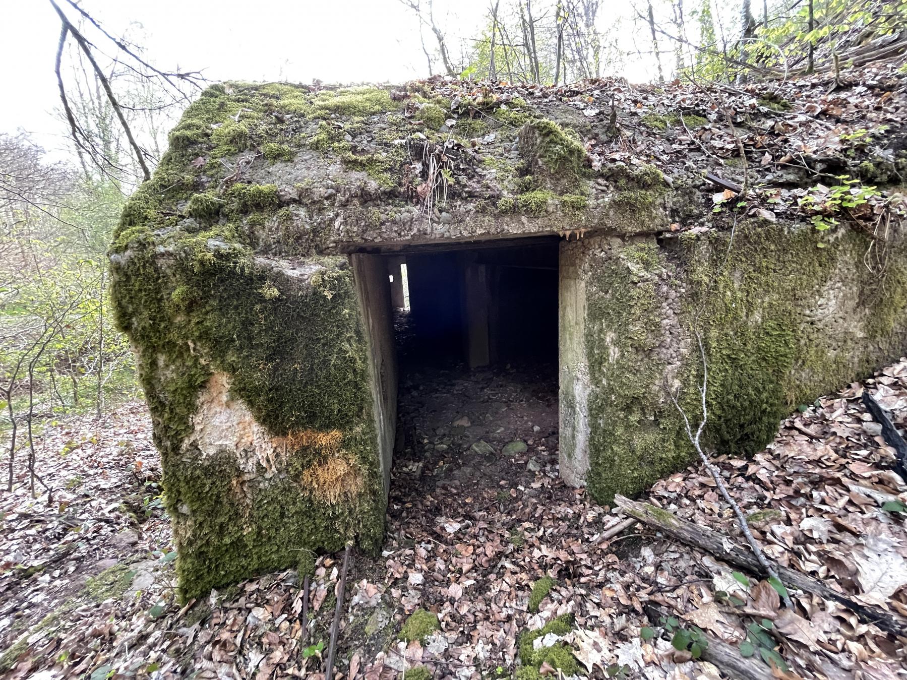Ligne Maginot - HERRENWALD - ( III - 153° RIF ) - (PC de Quartier) - L'entrée arrière - DK_Antoine4