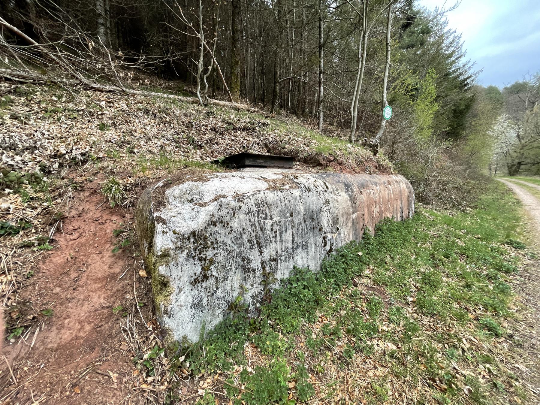 Ligne Maginot - B01 - (Chambre de coupure) - La chambre de coupure dégagée en 2021 - DK_Antoine4