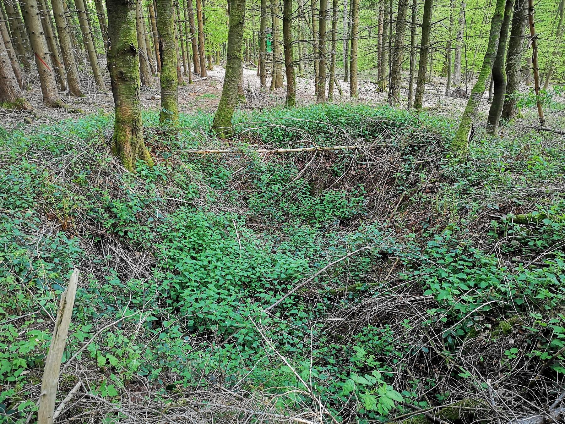 Ligne Maginot - SAUECK 2 - (Abri) - Emplacement de l'abri disparu - DK_Antoine4