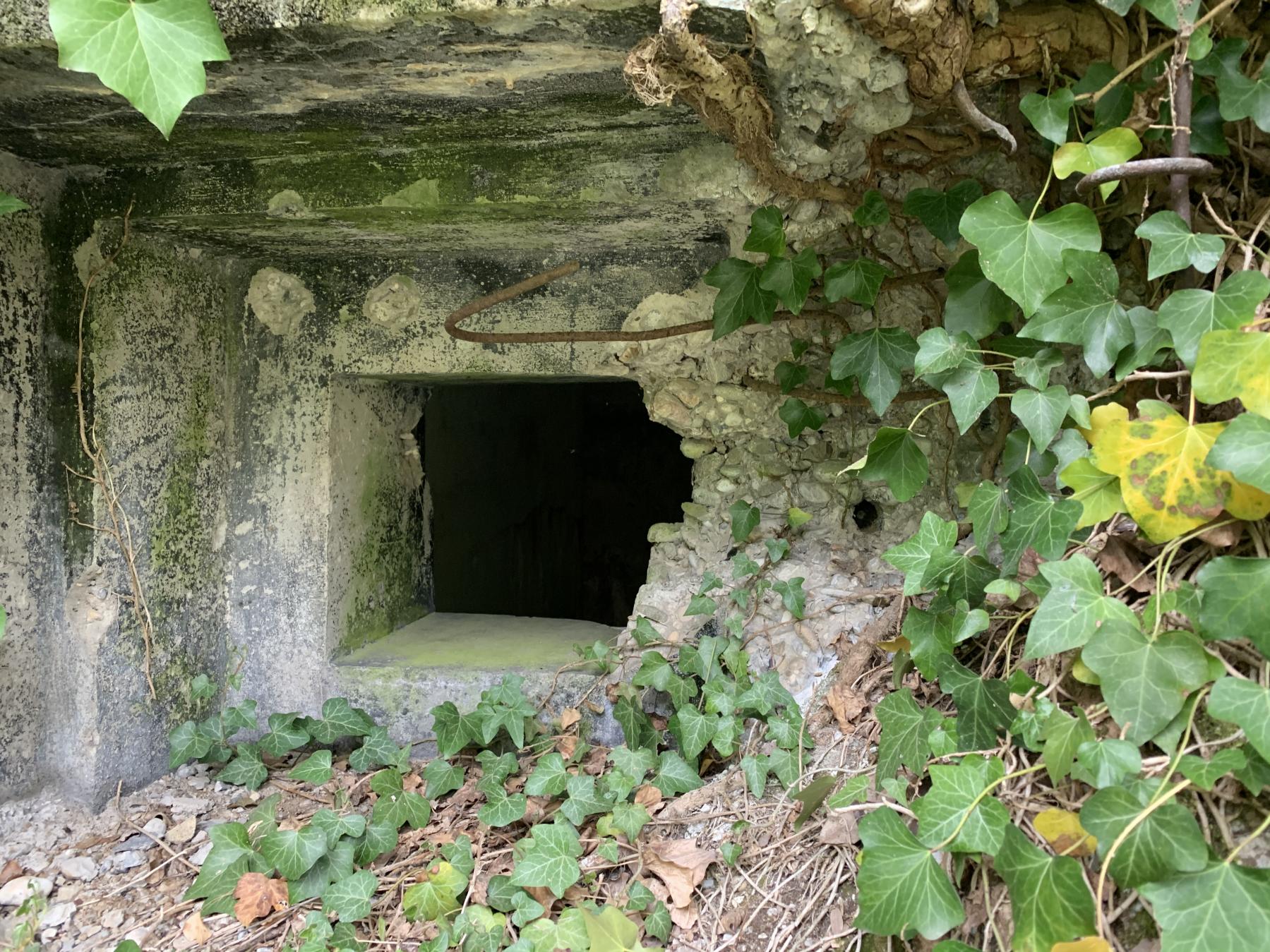 Ligne Maginot - PA DU CARREFOUR 243-1 - (Blockhaus pour canon) - Impact de pak 37 visiblement  - Laurent mokry