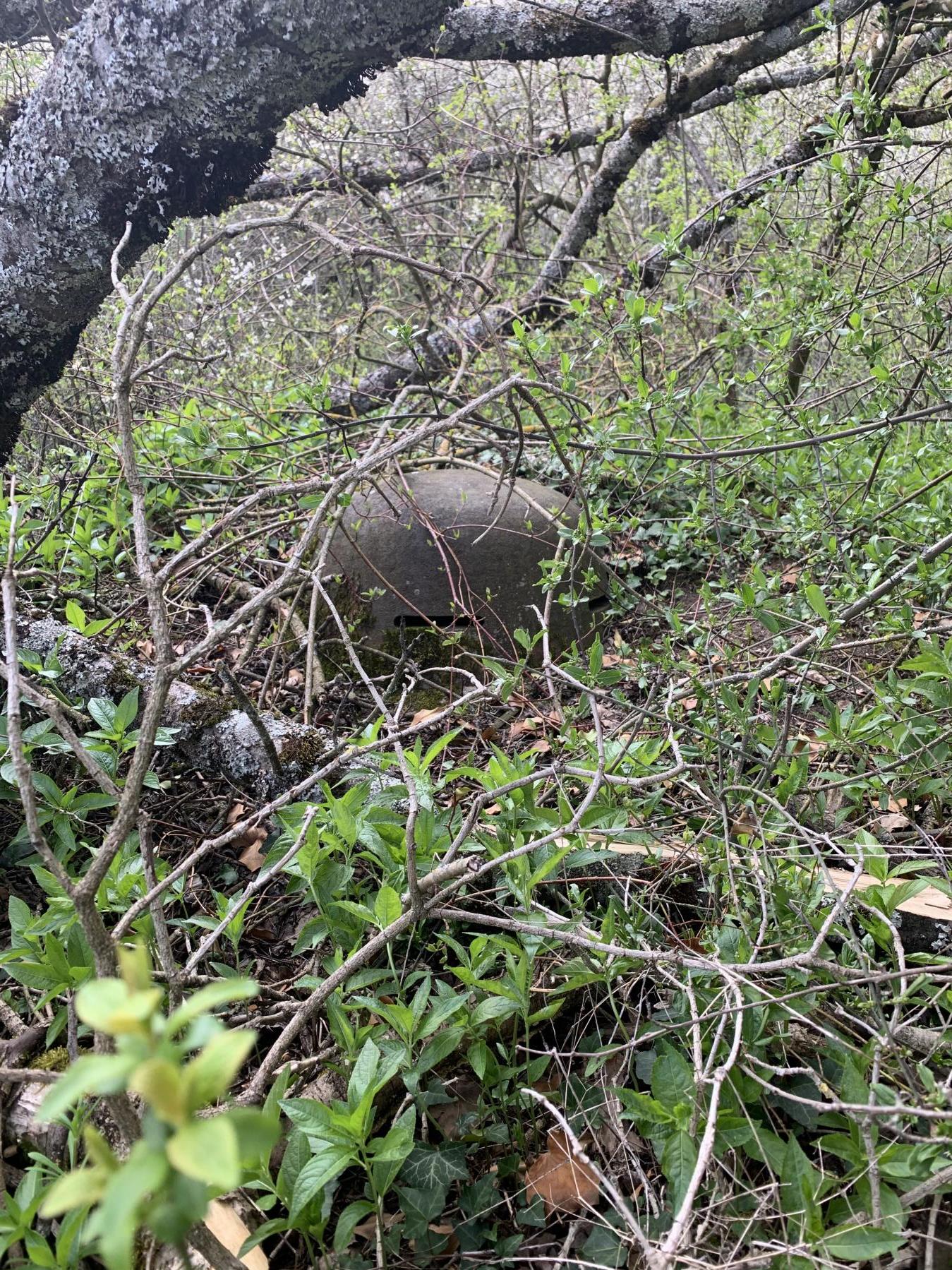 Ligne Maginot - HUTTINGUE - (Ouvrage d'infanterie) - Cloche : état actuel au milieu des chutes d’arbre - Laurent mokry