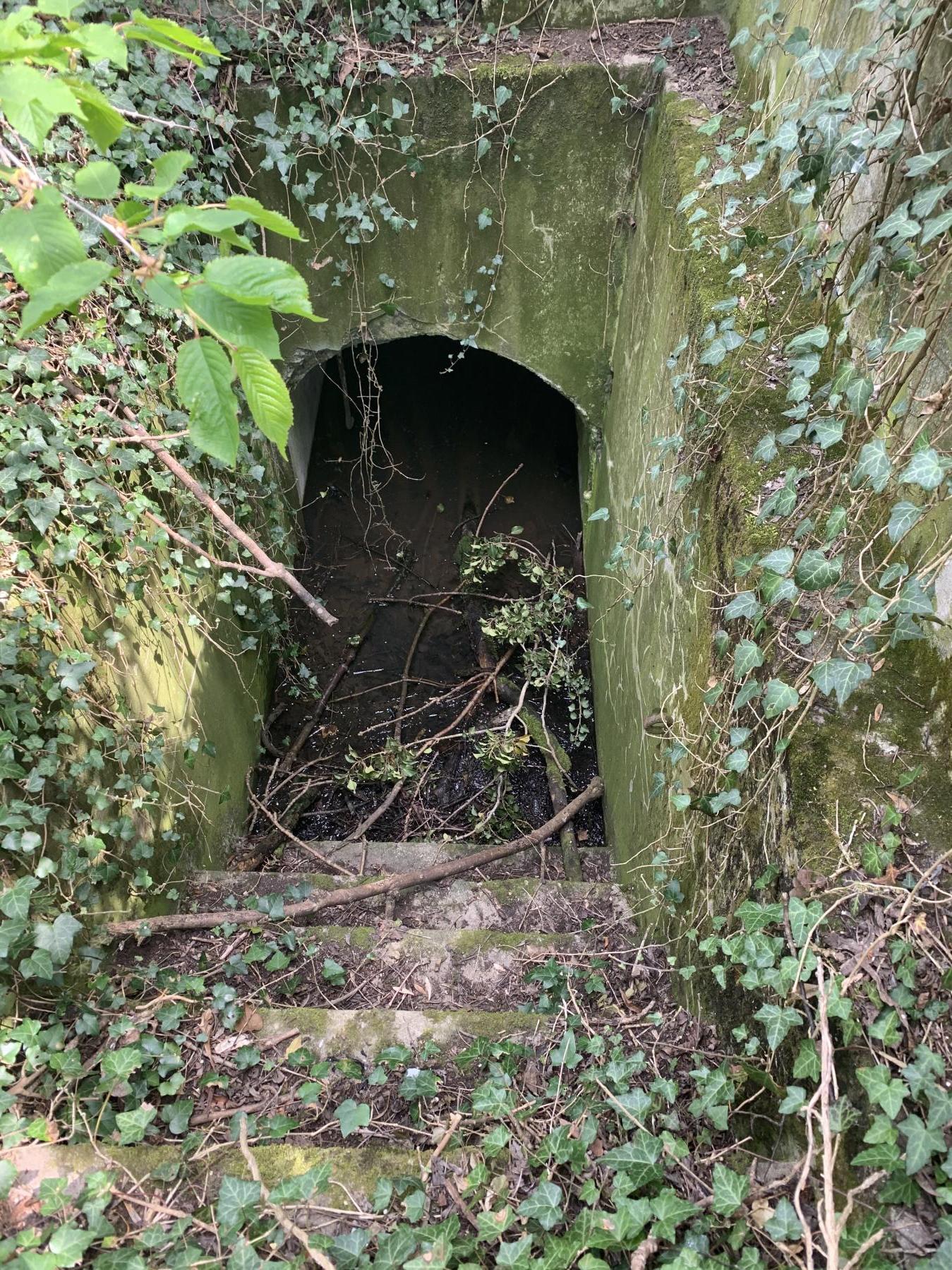Ligne Maginot - PA DU LINSENBERG 3 - (Blockhaus pour canon) - Entrée actuellement inondée - Laurent mokry