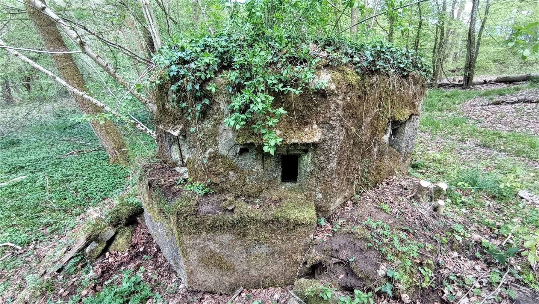 Ligne Maginot - FM27 - TRAUTBACH 3 - (Blockhaus pour arme infanterie) - Vue depuis le créneau frontal gauche  - Baptiste GAUDIN