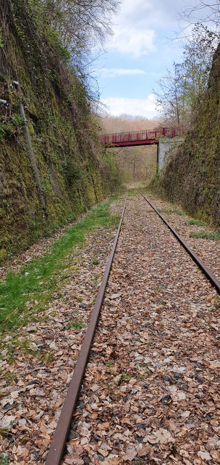 Ligne Maginot - VF60 - ANTENNE DE L'OUVRAGE DU SIMSERHOF - (RESEAU - Voie 60 - Antenne ou rocade ferroviaire) - LEMBERG - Katzenfelden
Pont ferroviaire voie de 60 au-dessus de la VN - etienne