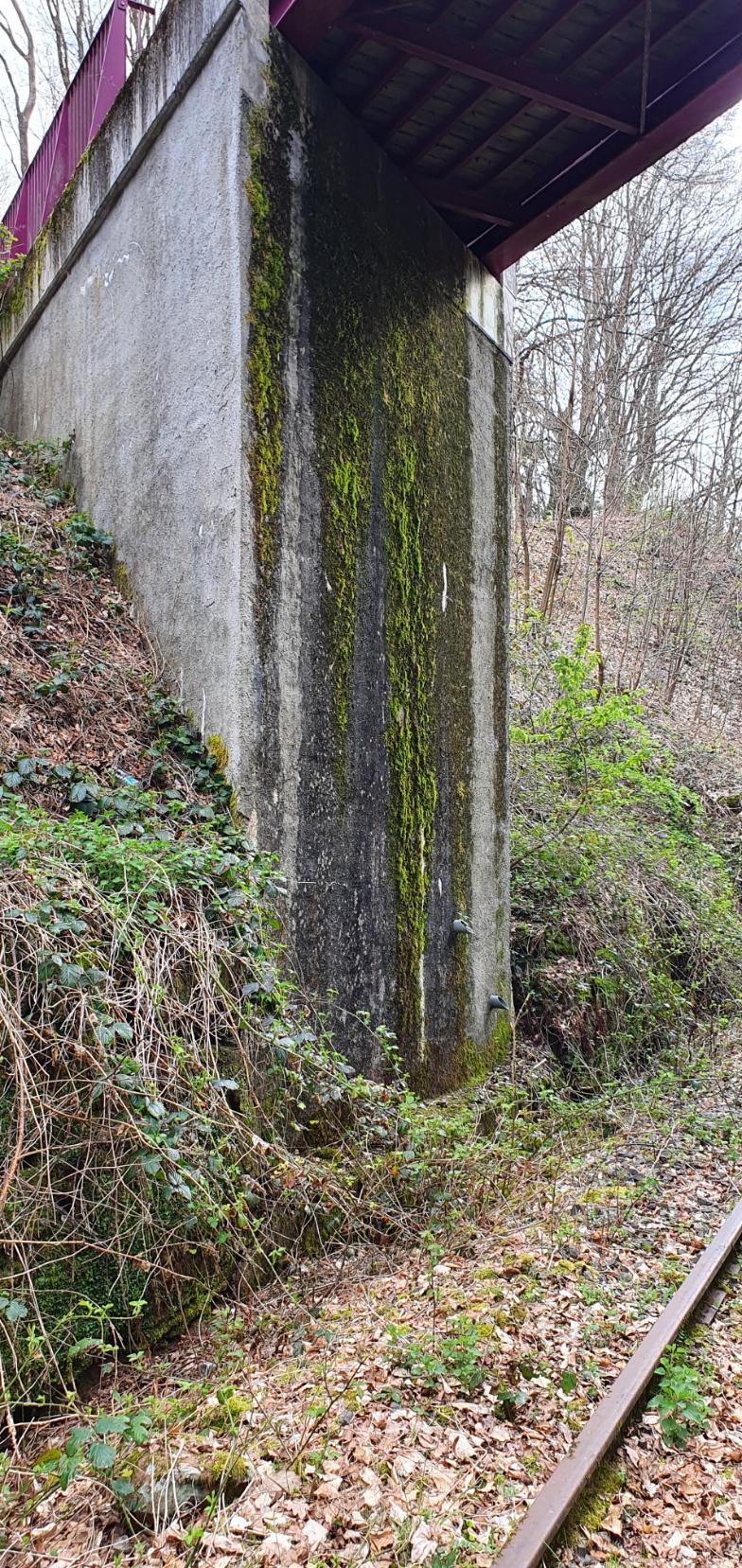 Ligne Maginot - VF60 - ANTENNE DE L'OUVRAGE DU SIMSERHOF - (RESEAU - Voie 60 - Antenne ou rocade ferroviaire) - LEMBERG - Katzenfelden
Pont ferroviaire voie de 60 au-dessus de la VN - etienne