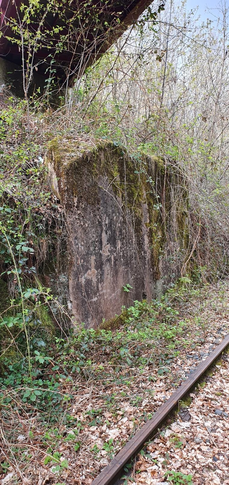 Ligne Maginot - VF60 - ANTENNE DE L'OUVRAGE DU SIMSERHOF - (RESEAU - Voie 60 - Antenne ou rocade ferroviaire) - LEMBERG - Katzenfelden
Pont ferroviaire voie de 60 au-dessus de la VN - etienne