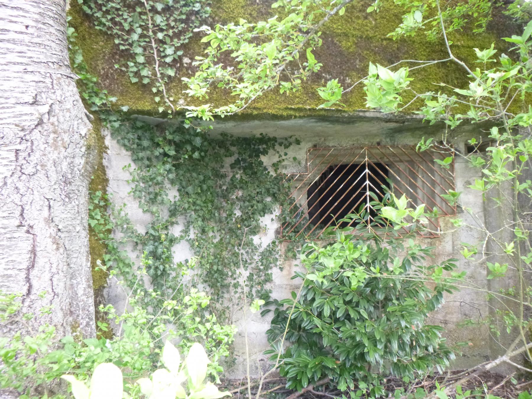 Ligne Maginot - FROESCHWILLER OUEST - (Casemate d'infanterie) - Vue extérieure - l.Jacquemin