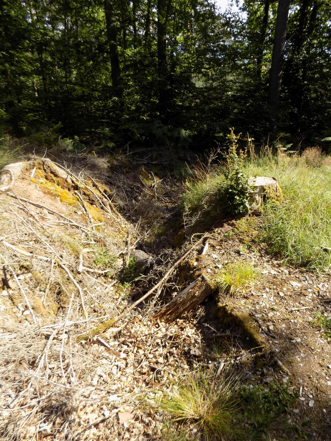 Ligne Maginot - GRAFENWEIHER 1 - (Blockhaus pour arme infanterie) - Vestige de la tranchée menant a l'entrée - l.jacquemin