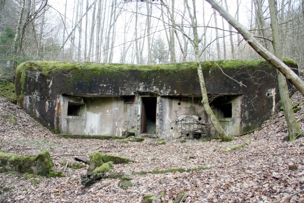Ligne Maginot - TRAUTBACH OUEST - (Blockhaus pour arme infanterie) - La façade arrière - Alain Perouffe