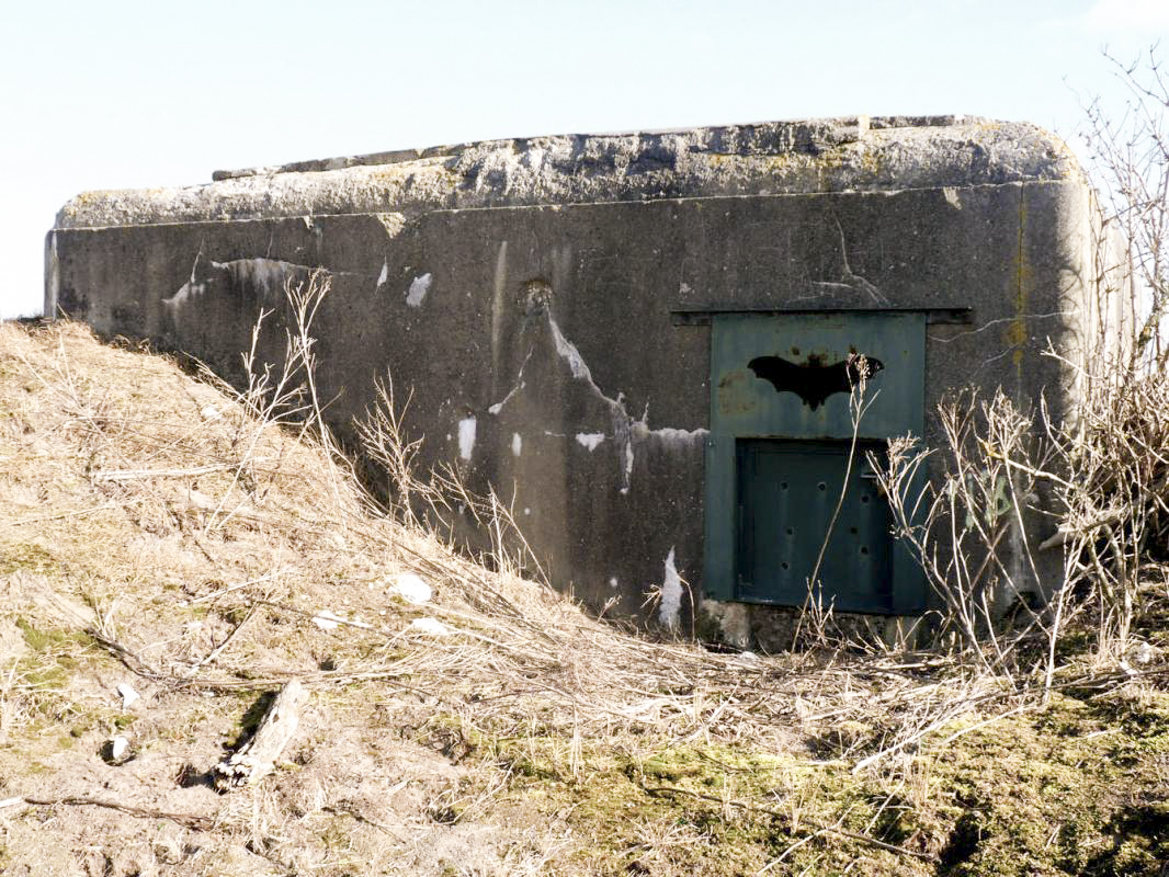 Ligne Maginot - B39 - BASSE PLAINE 10 - (Blockhaus pour arme infanterie) -  - JMBrams