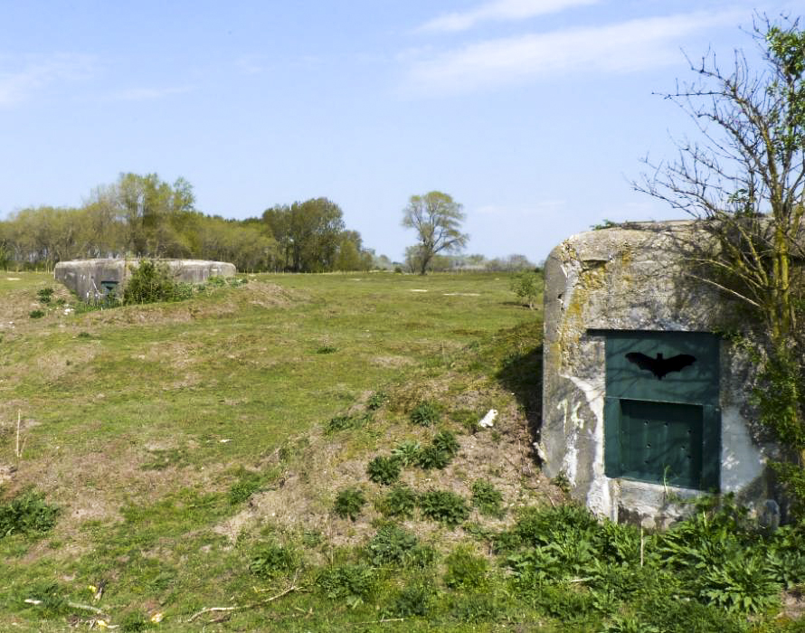 Ligne Maginot - B40 - BASSE PLAINE 11 - (Blockhaus pour arme infanterie) -  - Claude2602