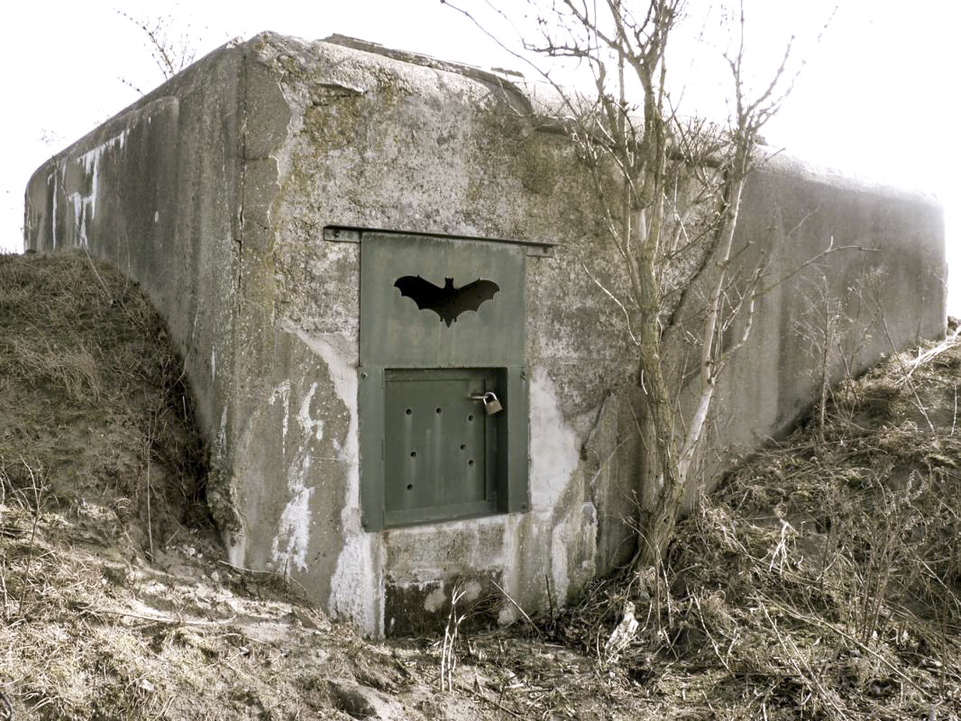 Ligne Maginot - B40 - BASSE PLAINE 11 - (Blockhaus pour arme infanterie) -  - JMBrams