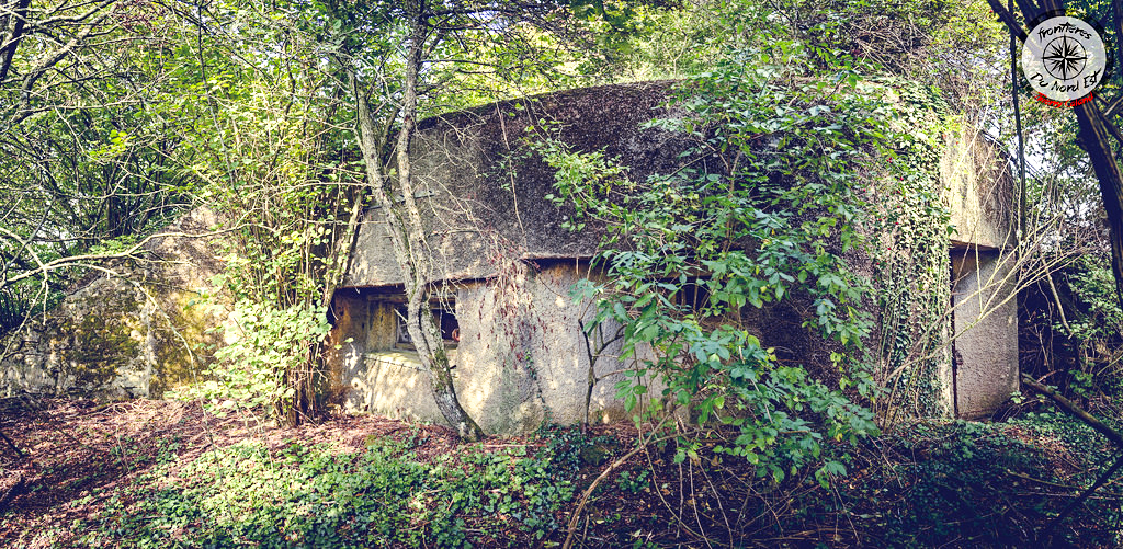 Ligne Maginot - Db28 (Blockhaus pour canon) -  - Thierry Caland