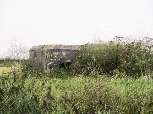 Ligne Maginot - B51 - MOULIN DU RHIN 4 - (Blockhaus pour arme infanterie) -  - Smardz Félix