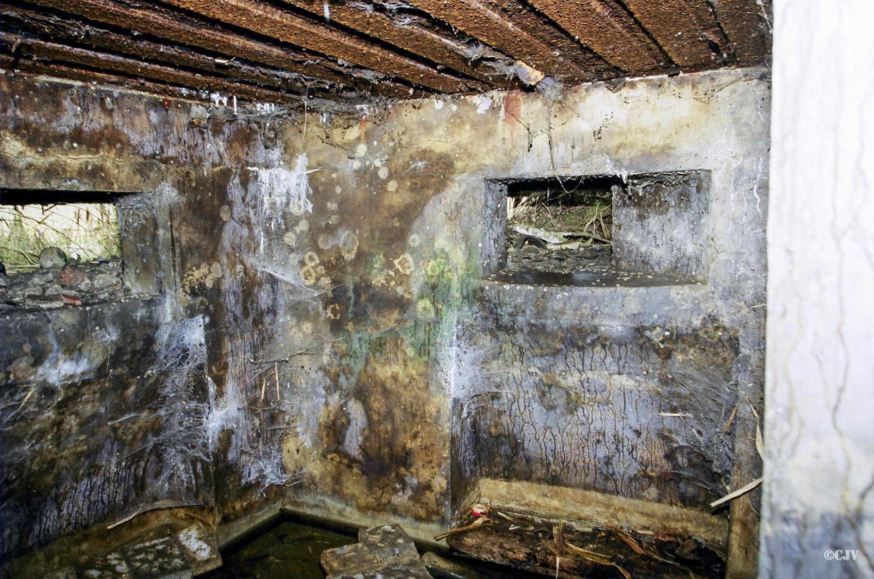 Ligne Maginot - B53 - CAESTERHOF Nord (Blockhaus pour arme infanterie) -  - Caspar Vermeulen