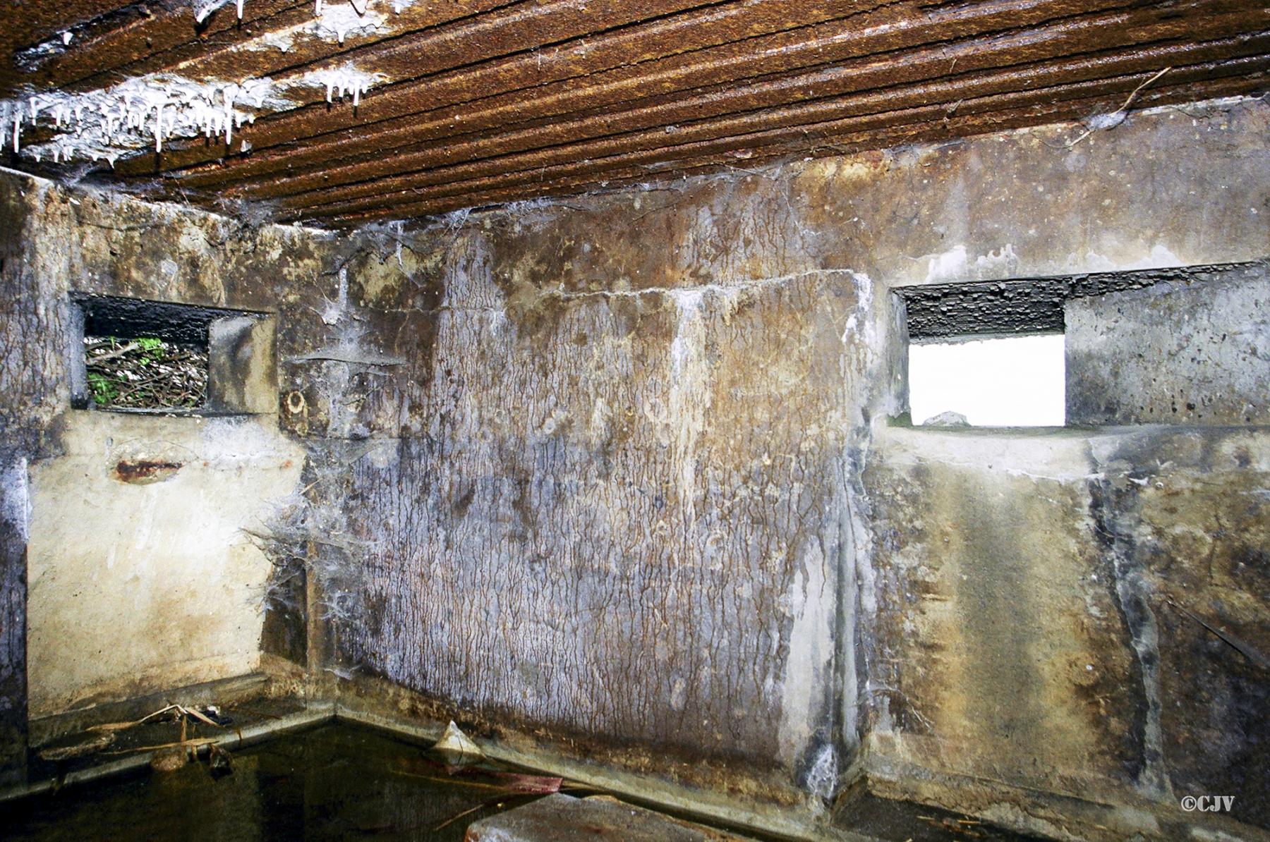 Ligne Maginot - B53 - CAESTERHOF Nord (Blockhaus pour arme infanterie) -  - Caspar Vermeulen