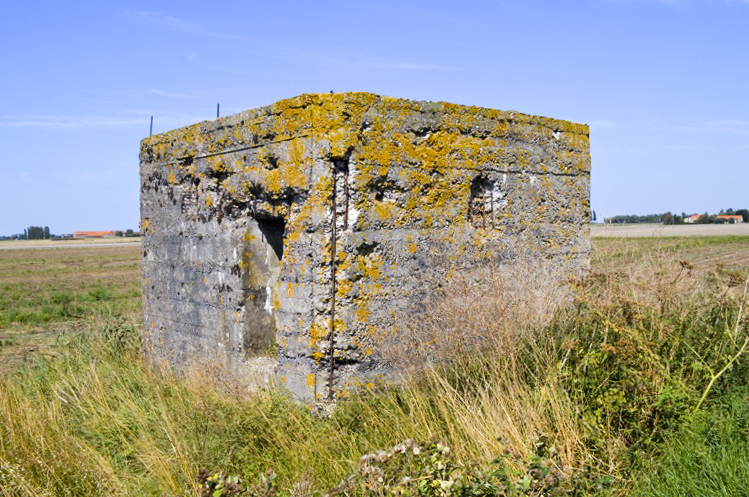 Ligne Maginot - B55 - Les GRANDES MOERES (Blockhaus pour arme infanterie) -  - UKMaginot