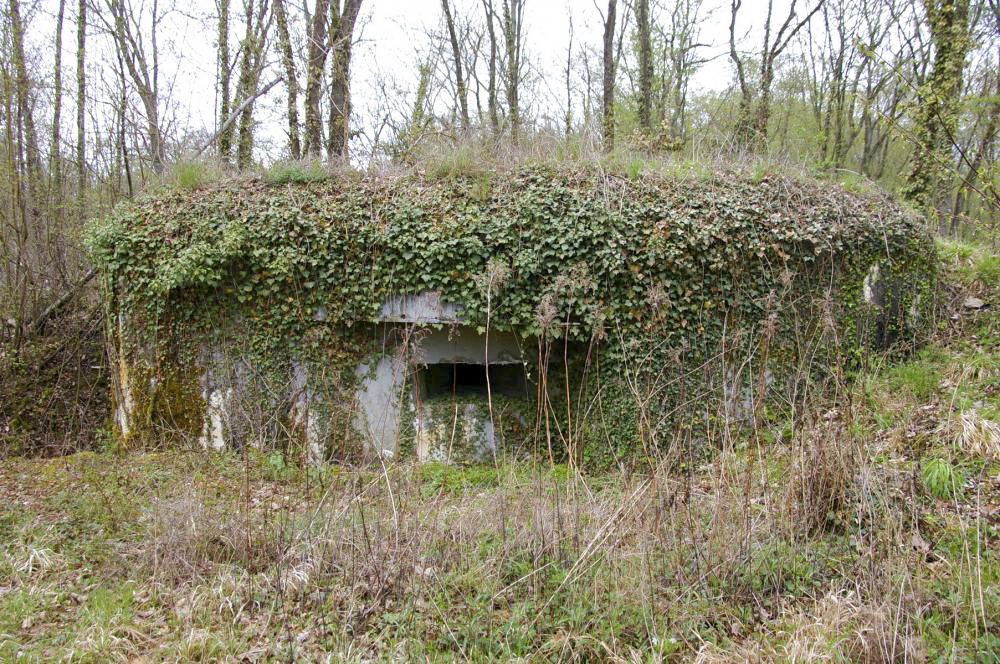 Ligne Maginot - PA DU CARREFOUR 243-3 - (Blockhaus pour arme infanterie) -  - D.Froehly