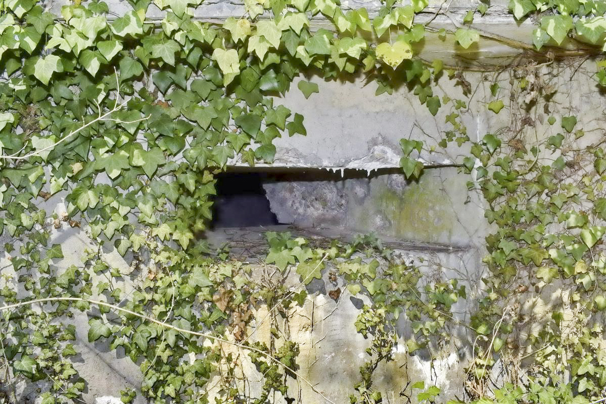 Ligne Maginot - PA DU CARREFOUR 243-3 - (Blockhaus pour arme infanterie) - Créneau de tir orienté vers le sud - D. Froehly