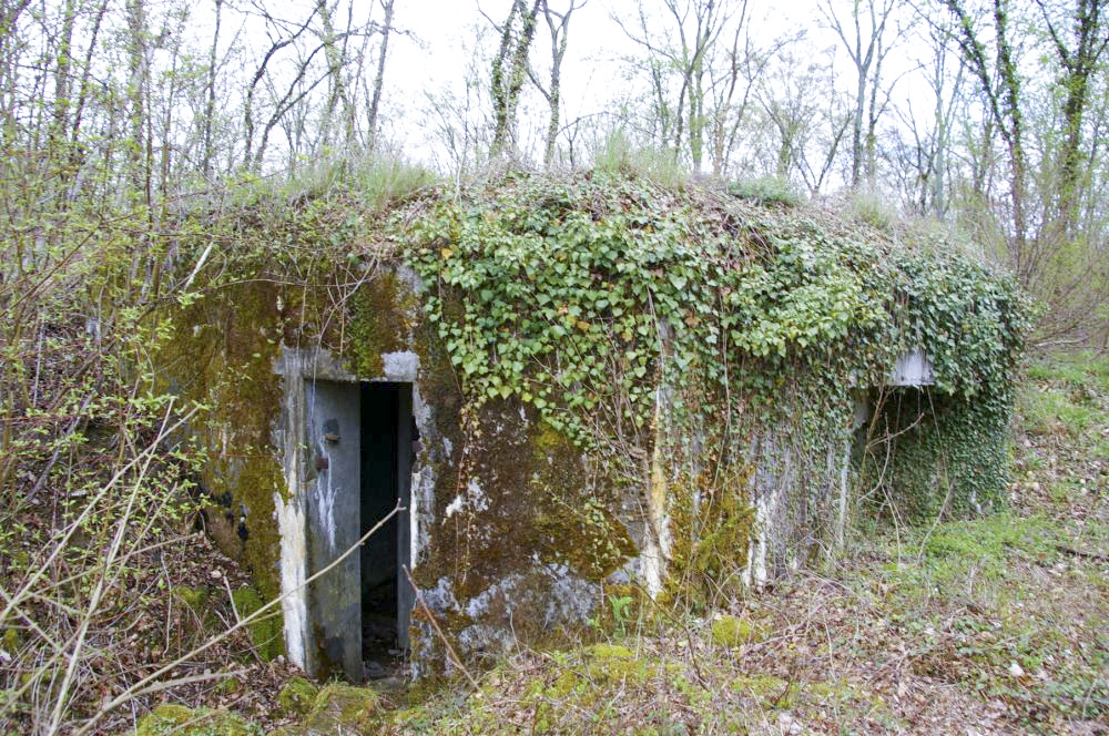 Ligne Maginot - PA DU CARREFOUR 243-3 - (Blockhaus pour arme infanterie) - L'entrée - D.Froehly