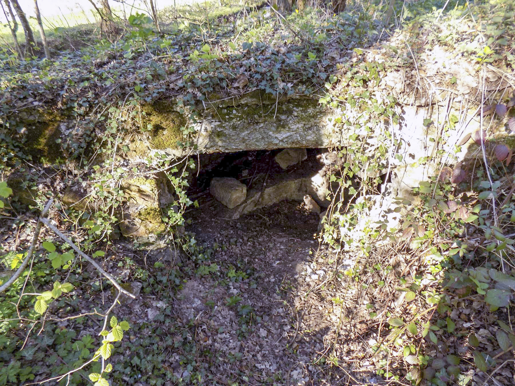 Ligne Maginot - VERLORENERBACH - (Blockhaus pour arme infanterie) - Vue arrière - l.jacquemin