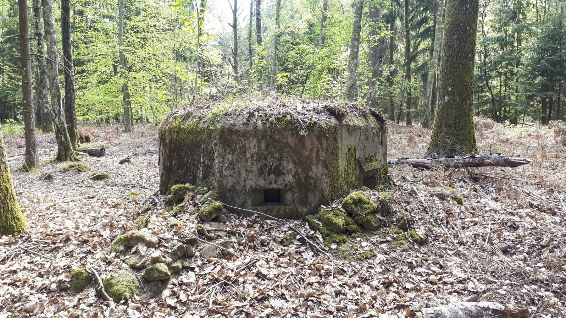 Ligne Maginot - HARDT 1 - (Blockhaus pour arme infanterie) - créneau droit et frontaux - Gregory Fuchs