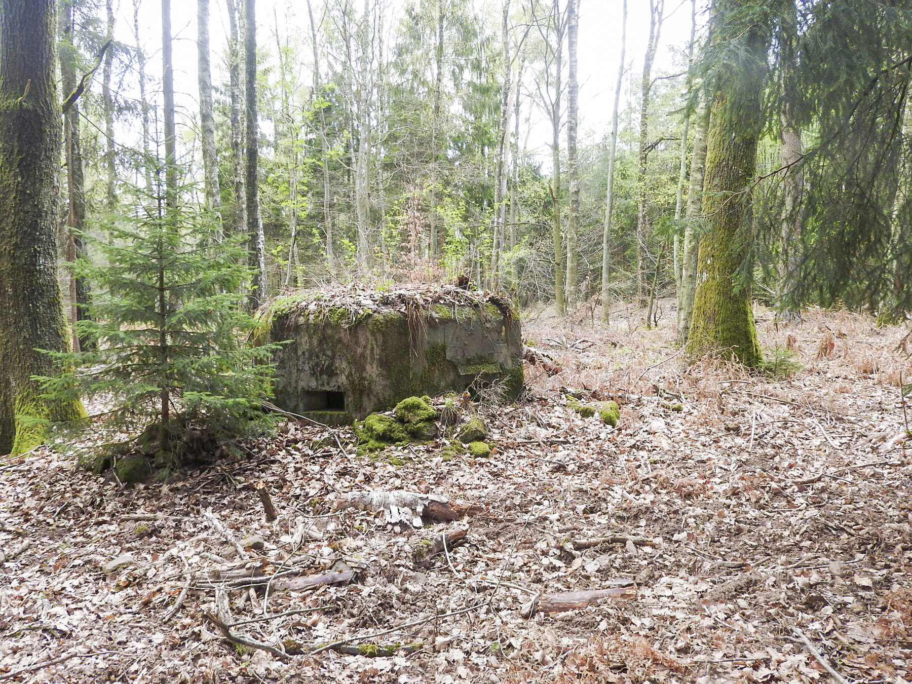 Ligne Maginot - HARDT 1 - (Blockhaus pour arme infanterie) - Vue frontale - STENGER Mathieu