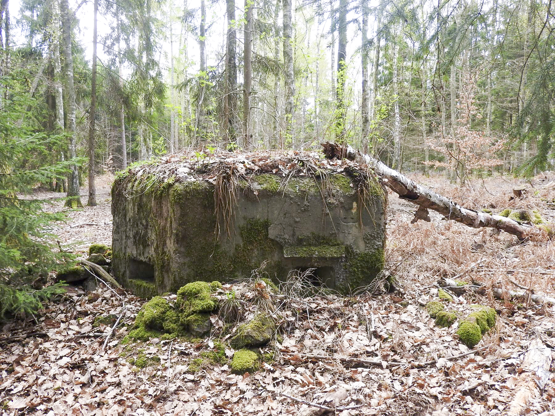 Ligne Maginot - HARDT 1 - (Blockhaus pour arme infanterie) - Les deux créneaux frontaux - STENGER Mathieu