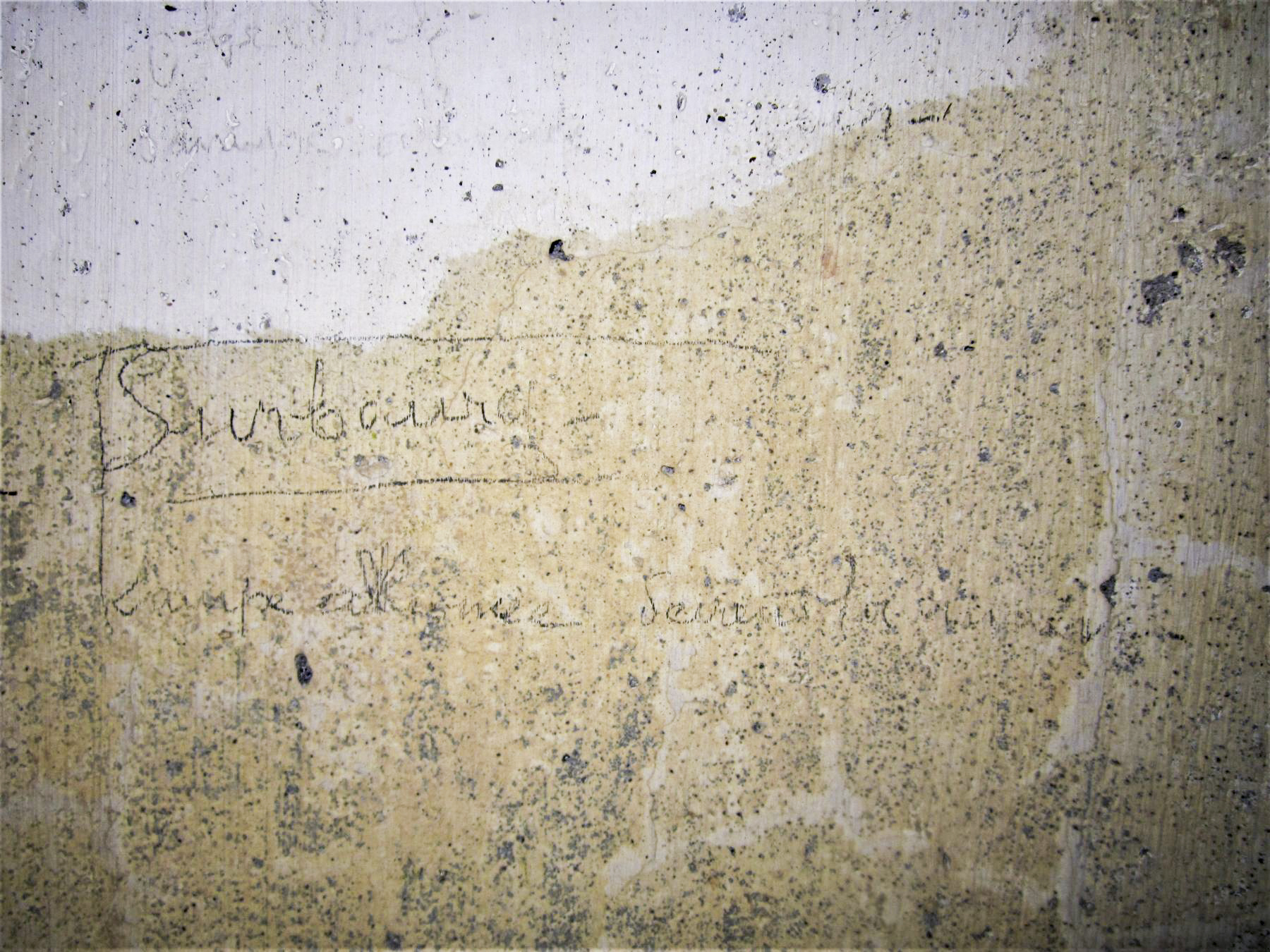 Ligne Maginot - HARDT 1 - (Blockhaus pour arme infanterie) - Graffiti - Gregory Fuchs