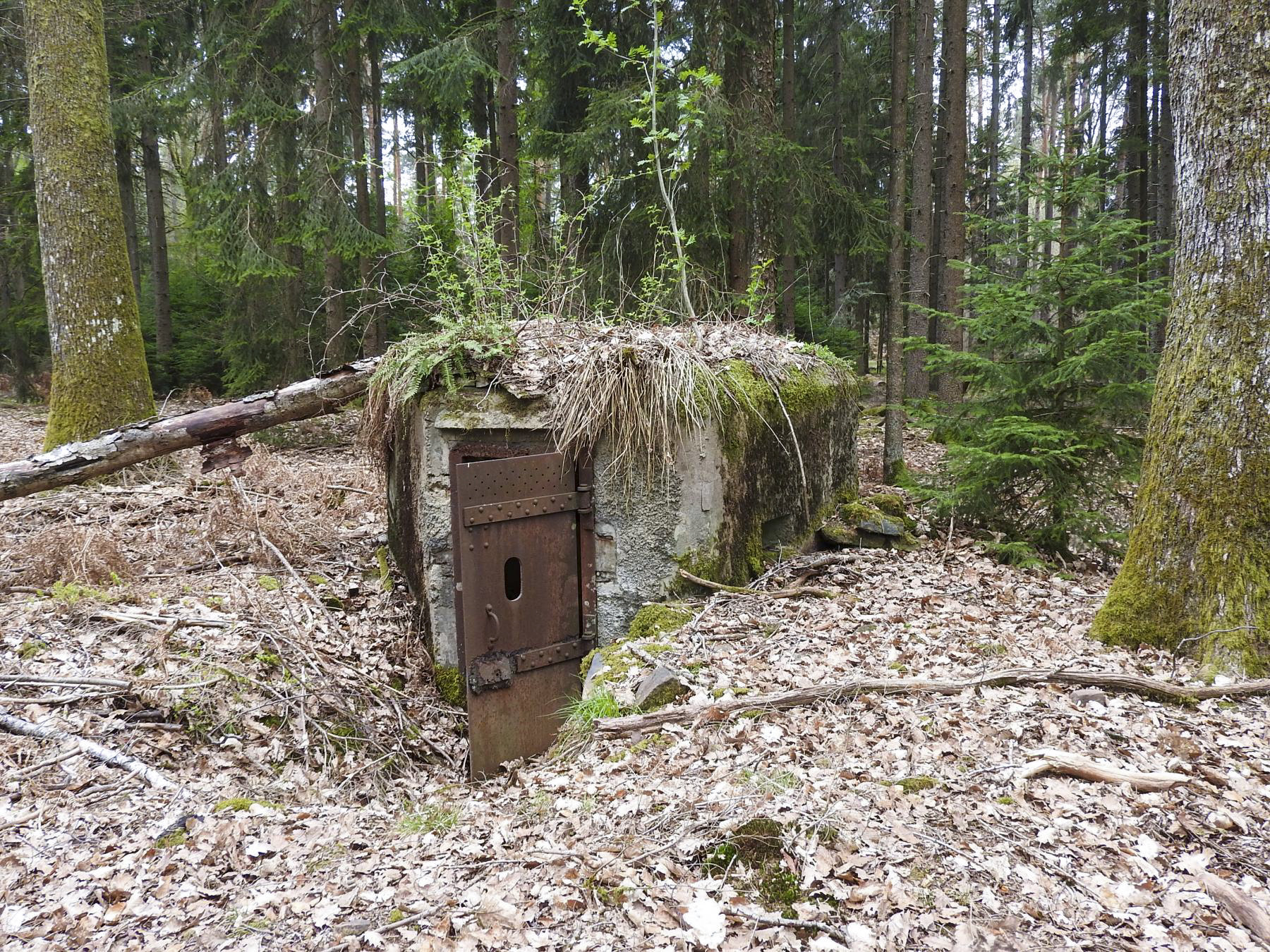 Ligne Maginot - HARDT 1 - (Blockhaus pour arme infanterie) - Entrée et créneau droit - STENGER Mathieu