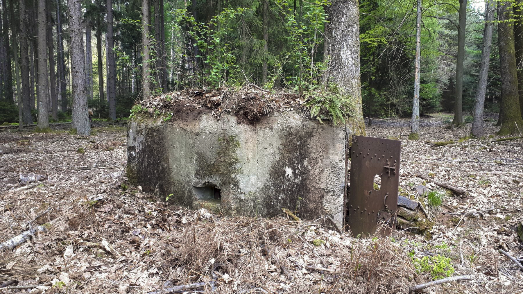 Ligne Maginot - HARDT 1 - (Blockhaus pour arme infanterie) - Entrée et créneau gauche - Gregory Fuchs