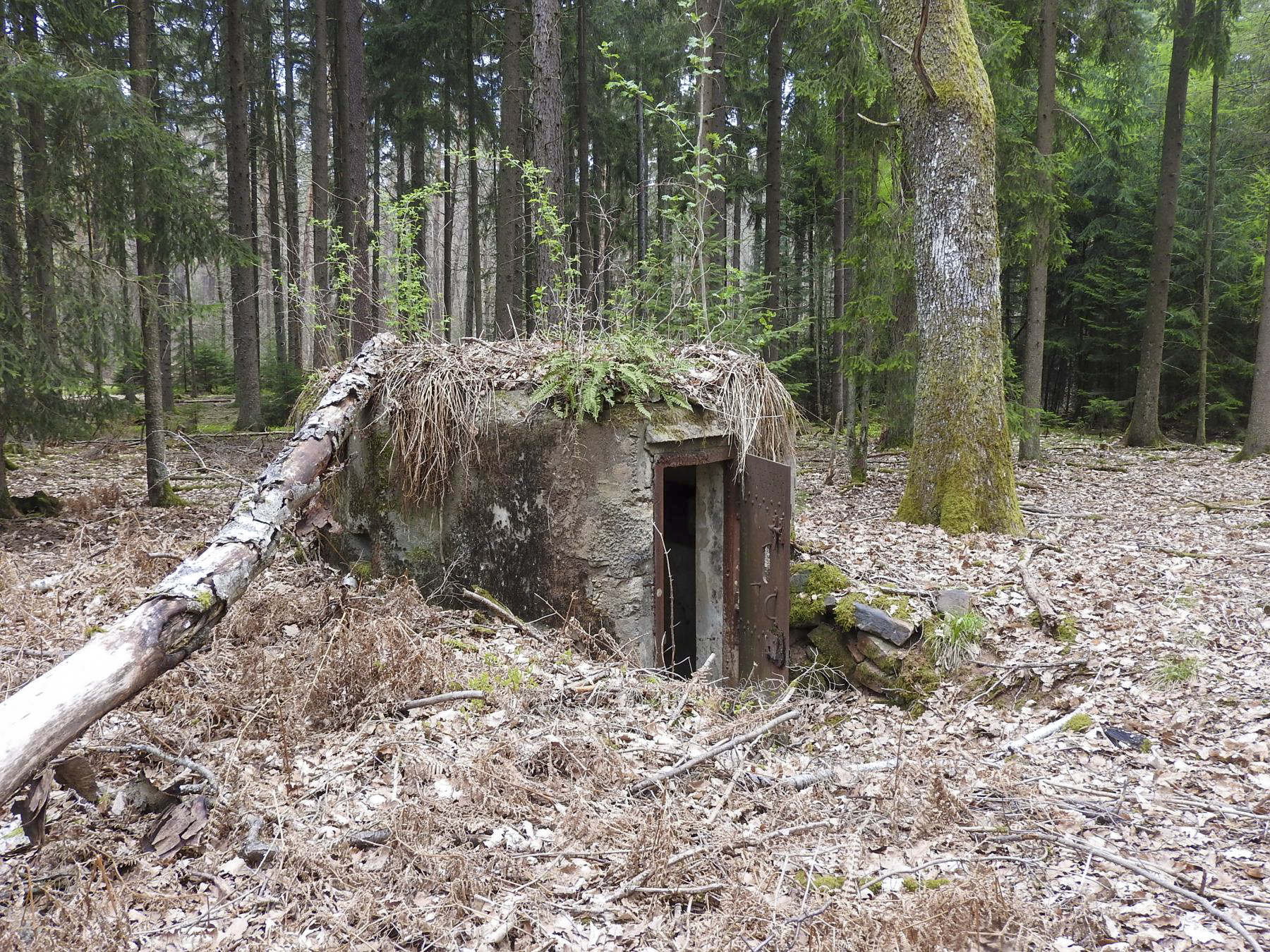 Ligne Maginot - HARDT 1 - (Blockhaus pour arme infanterie) - Entrée et créneau gauche - STENGER Mathieu