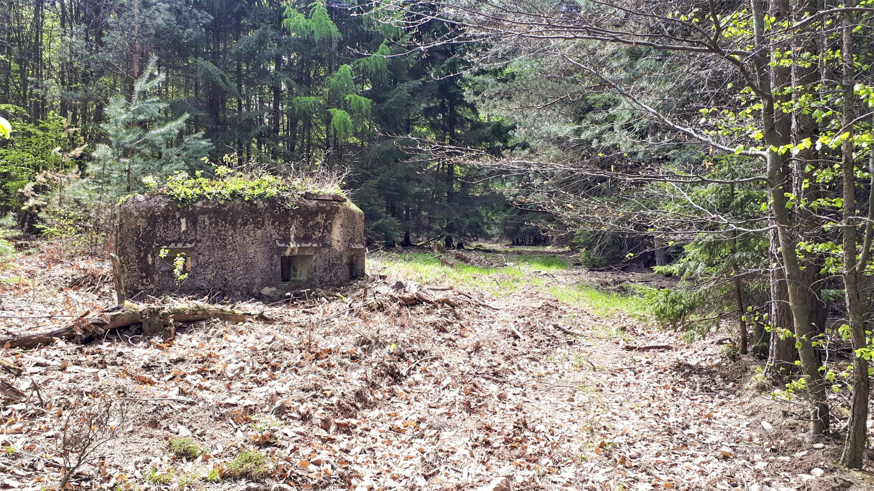 Ligne Maginot - HARDT 2 - (Blockhaus pour arme infanterie) - Vue coté droit - Gregory Fuchs