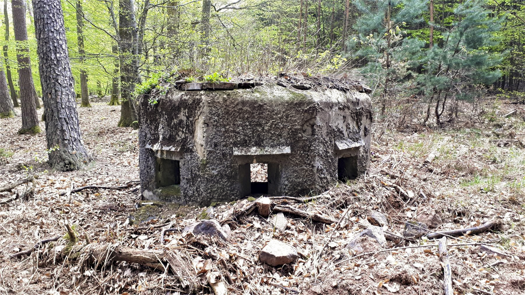 Ligne Maginot - HARDT 2 - (Blockhaus pour arme infanterie) - Les 3 créneaux frontaux - Gregory Fuchs