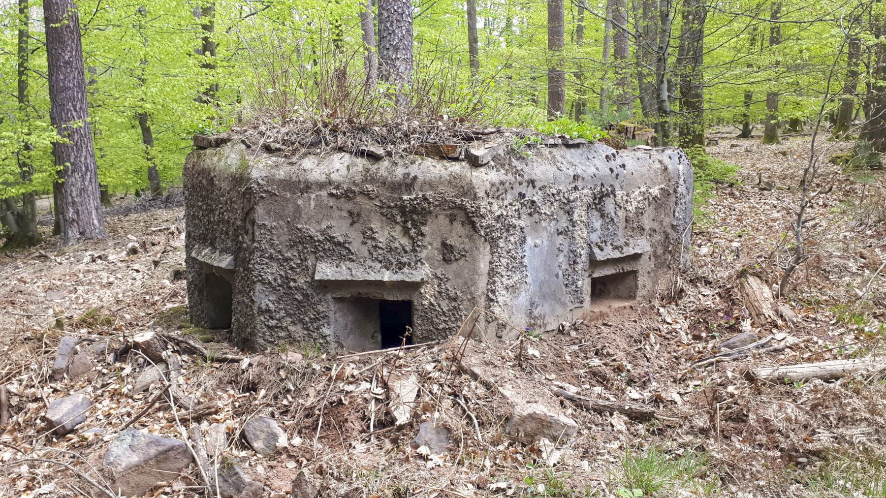 Ligne Maginot - HARDT 2 - (Blockhaus pour arme infanterie) - Vue coté gauche - Gregory Fuchs